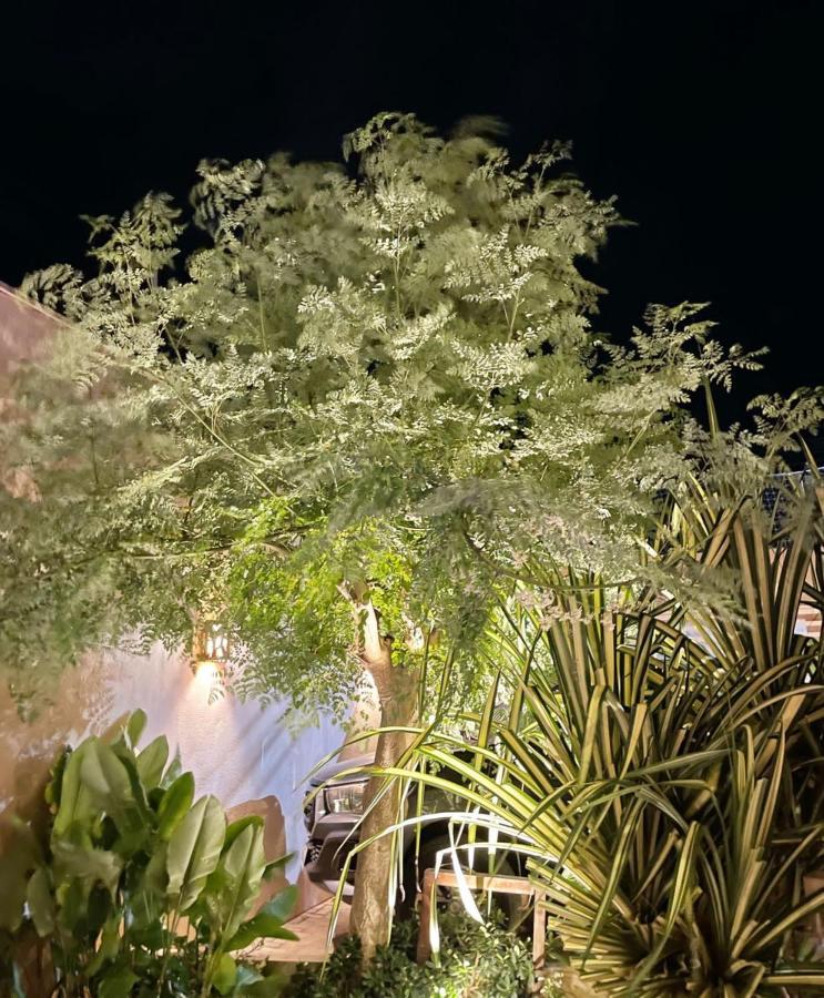 Recanto Maria Flor فليشيراز المظهر الخارجي الصورة